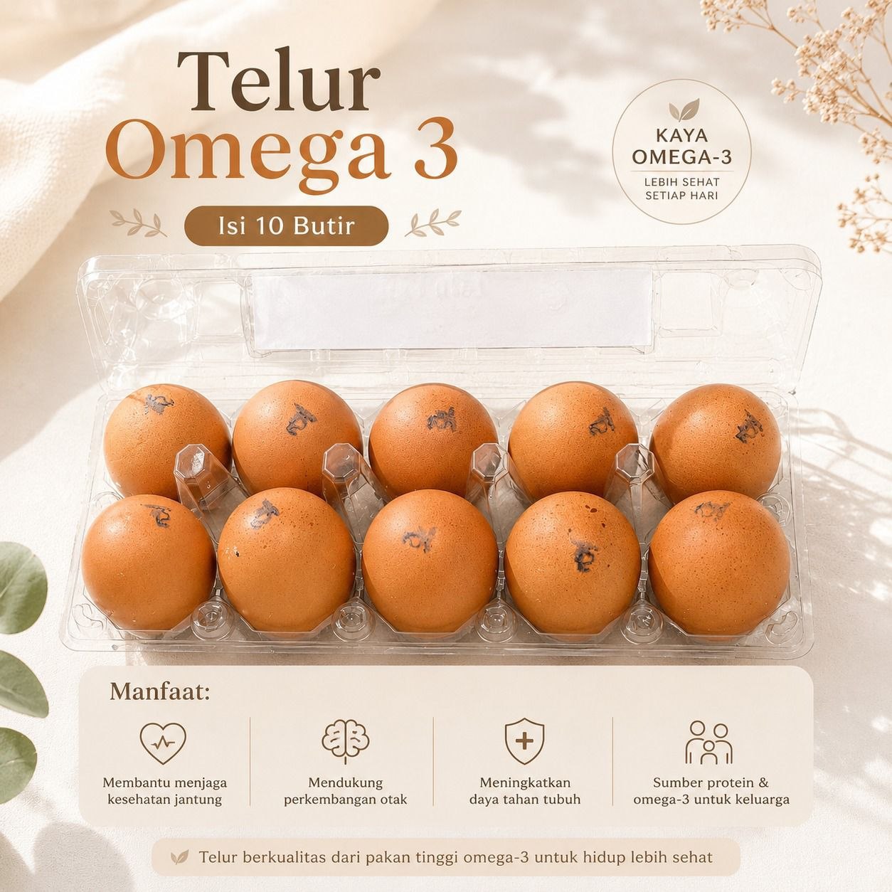 Kemasan Telur Omegga 10 Butir